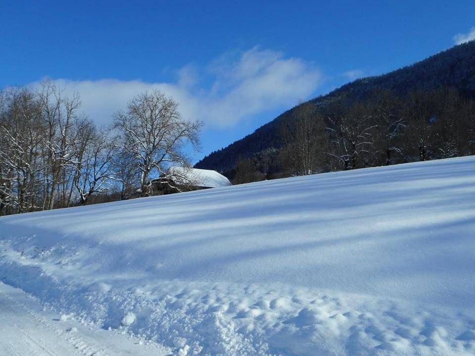 Bed and Breakfast La Grange Le Noyer  Екстер'єр фото